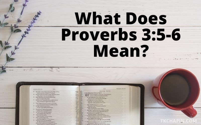 What Does Proverbs 35 6 Mean